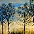 Reflections